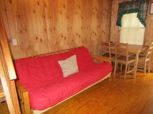 Cabin Living Room