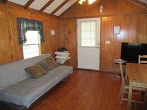 Cabin Living Room
